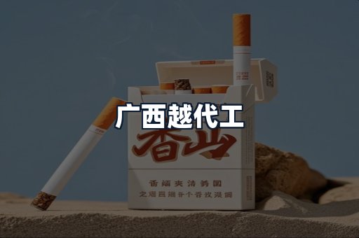 广西越代工
